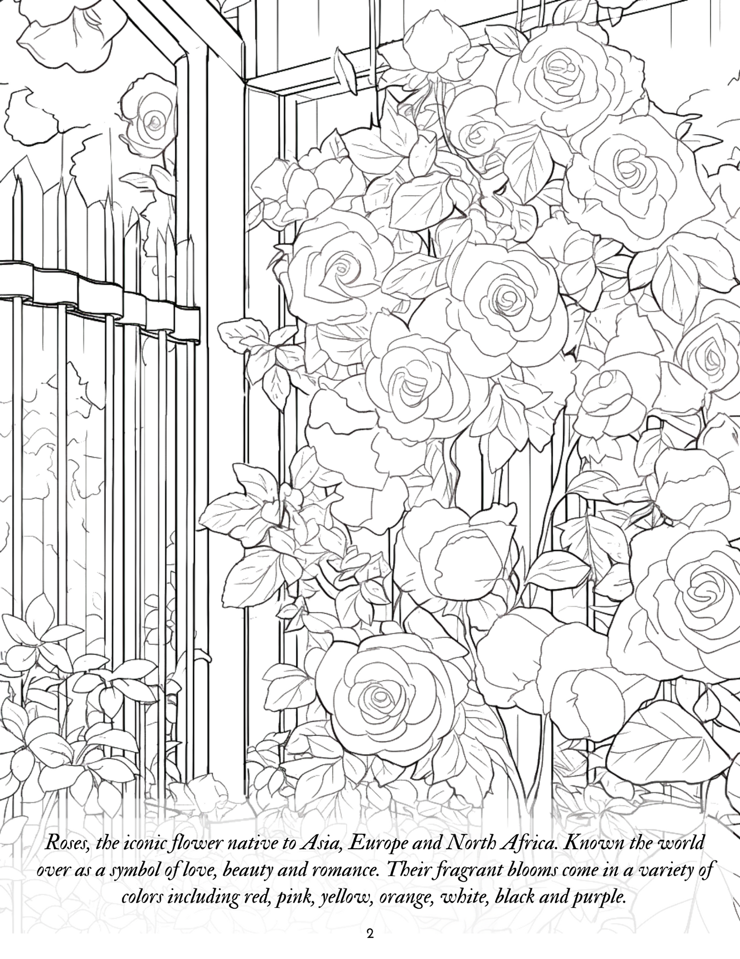 Coloring Book Theme: Flowers {Digital Download}